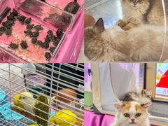 -丽达购物中心(崂山店)