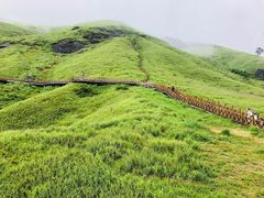-萍乡武功山风景名胜区