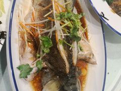 -邵年鸽(杨庄店)