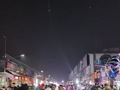 -中环花鸟鱼虫市场