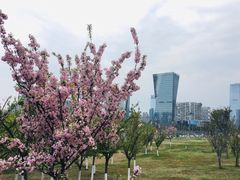 -桂溪生态公园