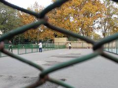 -陕西师范大学(雁塔校区)
