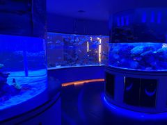 -上和臻品中国菜(花园街店)