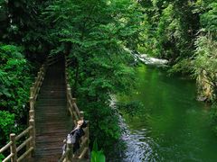 -广州市石门国家森林公园