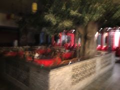 -扬州东关街文昌阁桔子水晶酒店