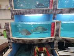 -丰宝源客家菜(常平店)