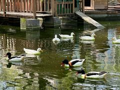 -瑞博尔花园酒店(太周创新产业园店)