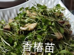 -青英餐厅