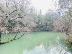 -乌村