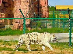 -鄂尔多斯野生动物园