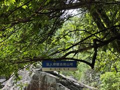 -石台牯牛降景区