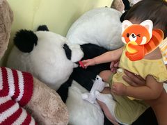 -成都泰迪熊博物馆