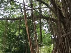 -南宁南湖公园