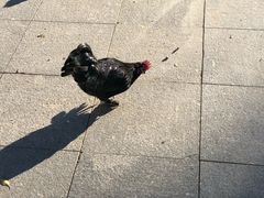 -鄂尔多斯野生动物园