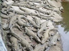 -广东茂名森林公园