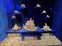 -大连圣亚海洋世界