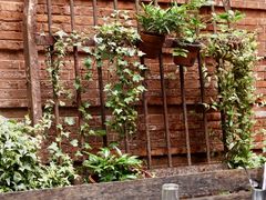 -Ocean's Table 欧舍