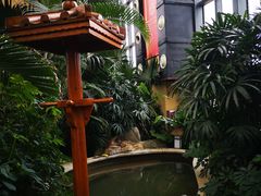 -郑州银基黄帝宫御温泉