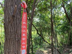 -青龙山国家森林公园