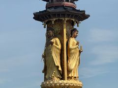 -溱湖国家湿地公园