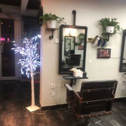 -AFA Hair studio·女士发型设计