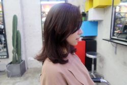 -SALON V