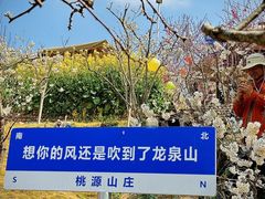 -桃源山庄·水蜜桃采摘·柴火鸡·烧烤团建(龙泉山店)