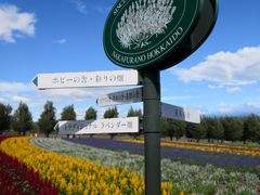 -富田农场