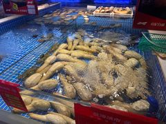 -驻海渔市(置信店)