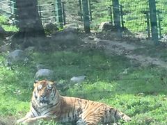 -西安秦岭野生动物园