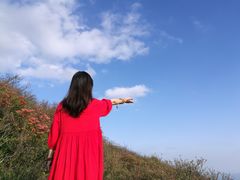 -大围山国家森林公园