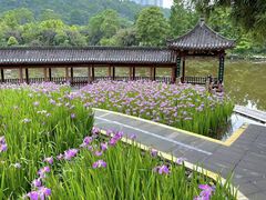 -龙头寺公园