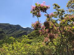 -周口店坡峰岭风景区