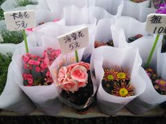 -秦美花卉(天朗·莱茵小城2期店)