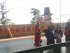 -东方熊牧场
