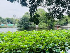 -荔湾湖公园