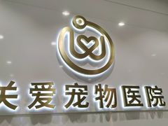 -关爱宠物医院·猫科中心·消化科(滨湖万达分院)