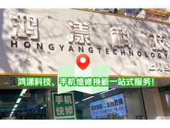 -鸿漾科技·手机维修·回收换新(上海旗舰店)