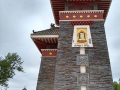 -塔尔寺菩提树