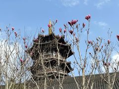 -洋湖国家湿地公园