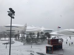 -茶颜悦色(金茂览秀城LG层外街店)