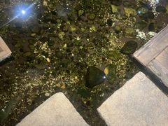 -邈墨茶馆(大兜路1号店)