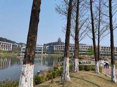 -铁山坪森林公园