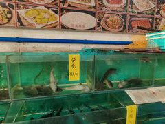 -烧鹅妹饭店
