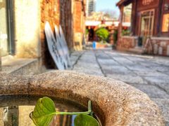 -晋江五店市传统文化旅游区