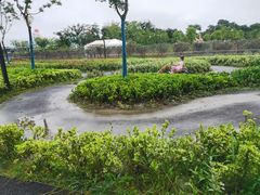 -季高兔窝窝亲子园(上海薰衣草公园店)