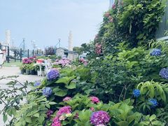 -Vanillacafe香草咖啡(银海大世界店)