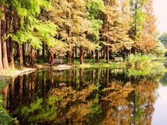 -共青国家森林公园-售票处