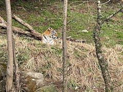 -宁波野生动物园