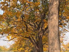 -唐城墙遗址公园